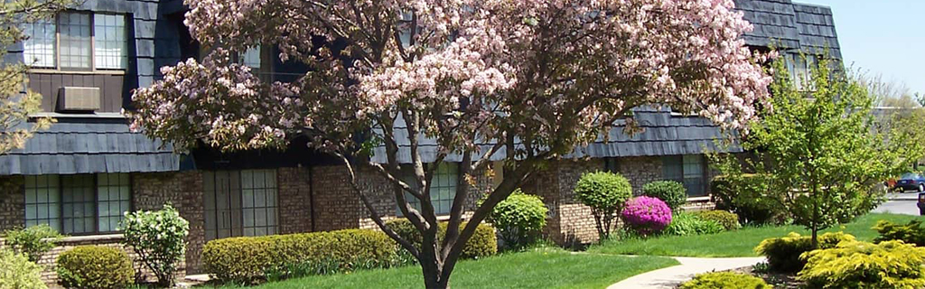 Bethlehem Terrace exterior